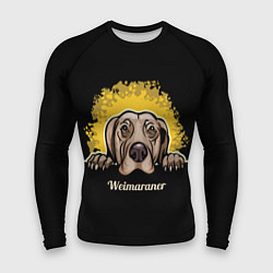Рашгард мужской Веймаранер Weimaraner, цвет: 3D-принт