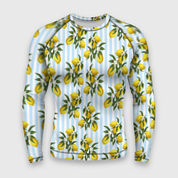 Мужской рашгард Ветка летних лимонов - голубые полосы