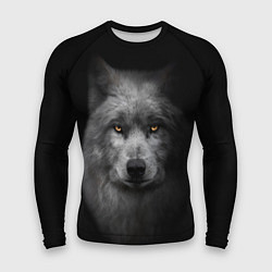 Рашгард мужской Суровый волк с холодным нордическим взглядом, цвет: 3D-принт