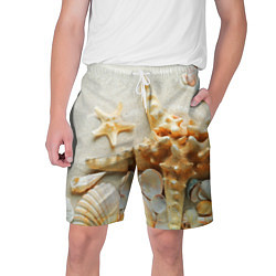 Мужские шорты Морские ракушки