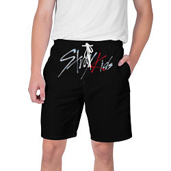 Шорты на шнурке мужские Stray Kids, цвет: 3D-принт