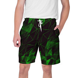 Шорты на шнурке мужские GREEN STRIPES, цвет: 3D-принт