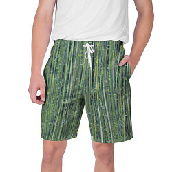 Мужские шорты Зеленый бамбук