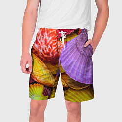 Шорты на шнурке мужские Разноцветные ракушки multicolored seashells, цвет: 3D-принт