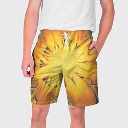 Мужские шорты Солнечный цветок Абстракция 535-332-32
