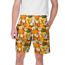 Мужские шорты Тыквы Pumpkin