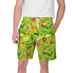 Мужские шорты Летнее настроение - фрукты