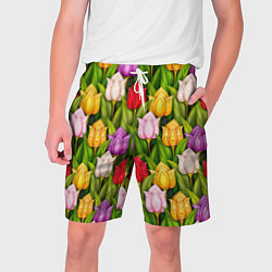 Мужские шорты Объемные разноцветные тюльпаны