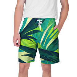 Мужские шорты Яркие тропические листья пальмы