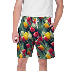 Мужские шорты Много тюльпанов