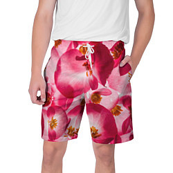 Мужские шорты Цветы бегония текстура