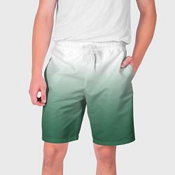 Шорты на шнурке мужские Туманный градиент бело-зелёный, цвет: 3D-принт