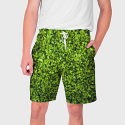 Шорты на шнурке мужские Зелёная трава листья, цвет: 3D-принт