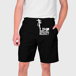 Шорты на шнурке мужские Lim Bizkit logo, цвет: 3D-принт