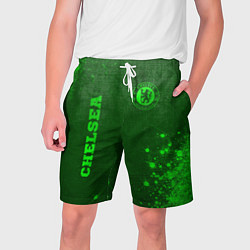Шорты на шнурке мужские Chelsea - green gradient вертикально, цвет: 3D-принт