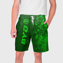 Шорты на шнурке мужские BYD - green gradient по-вертикали, цвет: 3D-принт