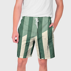Шорты на шнурке мужские Зеленые полосы, цвет: 3D-принт