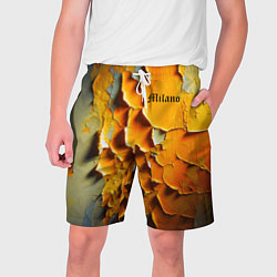 Шорты на шнурке мужские Peeling plaster - Milano, цвет: 3D-принт