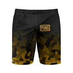 Шорты спортивные мужские PUBG: Military Honeycomb, цвет: 3D-принт