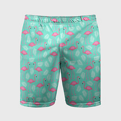 Мужские спортивные шорты Flamingo