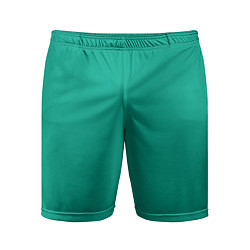 Мужские спортивные шорты Зеленый