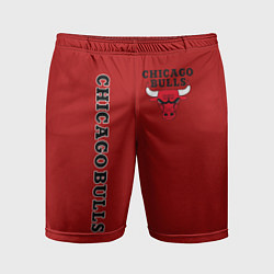 Мужские спортивные шорты CHICAGO BULLS