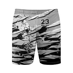 Мужские спортивные шорты Michael Jordan 23