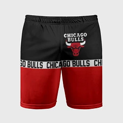 Мужские спортивные шорты CHICAGO BULLS