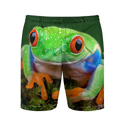 Шорты спортивные мужские Тропическая лягушка, цвет: 3D-принт