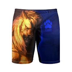 Мужские спортивные шорты Furry lion