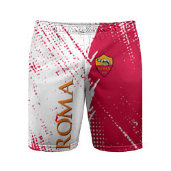 Мужские спортивные шорты Roma краска