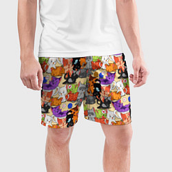 Шорты спортивные мужские Котики-такие котики, цвет: 3D-принт — фото 2
