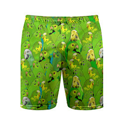 Шорты спортивные мужские Зеленые волнистые попугайчики, цвет: 3D-принт