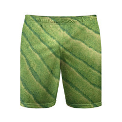 Шорты спортивные мужские Травяной паттерн, цвет: 3D-принт