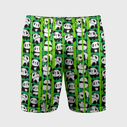 Мужские спортивные шорты Мишки панда мультяшные