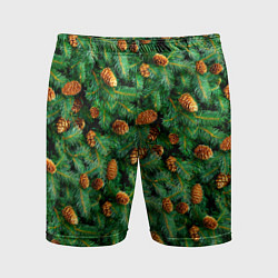 Шорты спортивные мужские Ёлка зелёная с шишками, цвет: 3D-принт