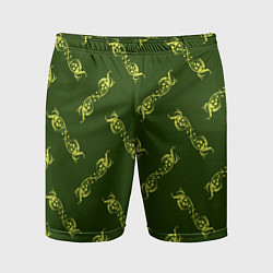 Шорты спортивные мужские Винтажная роспись, цвет: 3D-принт