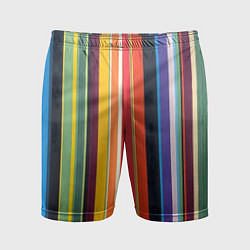 Мужские спортивные шорты Разноцветная полоска