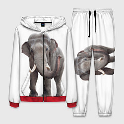 Костюм мужской Большой слон, цвет: 3D-красный