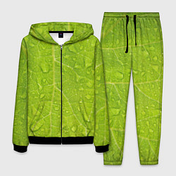 Мужской костюм Листок с росой