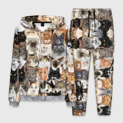 Костюм мужской Котики смешные, цвет: 3D-меланж