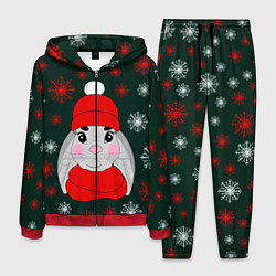 Костюм мужской Зимний кролик и снежинки, цвет: 3D-красный