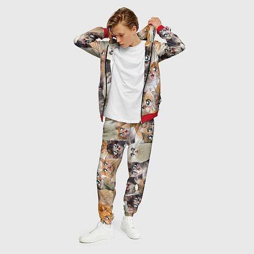 Мужской костюм Много кошек с большими анимэ глазами / 3D-Красный – фото 3