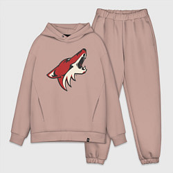 Мужской костюм оверсайз Phoenix Coyotes