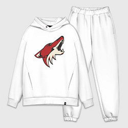 Мужской костюм оверсайз Phoenix Coyotes, цвет: белый