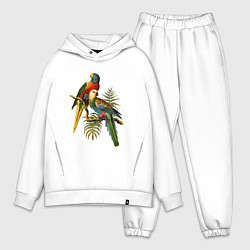 Мужской костюм оверсайз Тропические попугаи цвета белый — фото 1