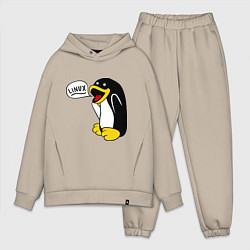 Мужской костюм оверсайз Пингвин: Linux