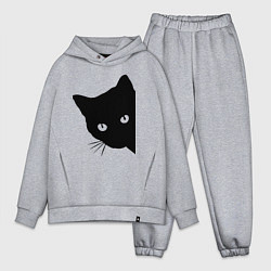 Мужской костюм оверсайз Всё тот же чёрный котяра!, цвет: меланж