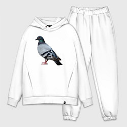 Мужской костюм оверсайз Голубь сизый, цвет: белый