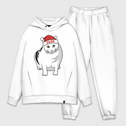 Мужской костюм оверсайз Мемный кот Бендер - 2026